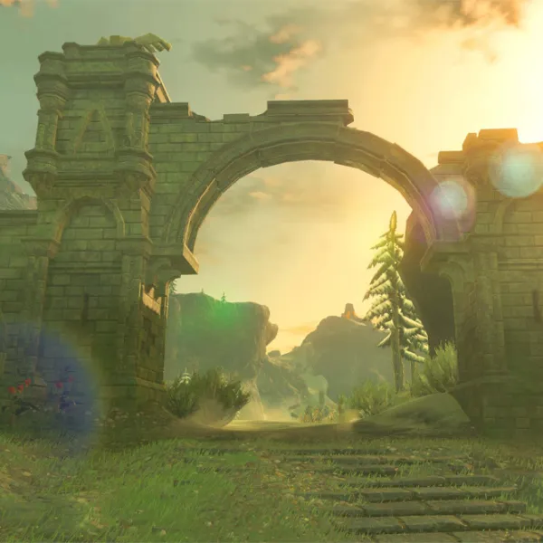 The Legend of Zelda Breath of the Wild Game for Nintendo Switch photo 7