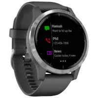 Умные часы Garmin Vivoactive 4 1.3"/ 010-02174-03/ Серебристый Серебристый photo 6