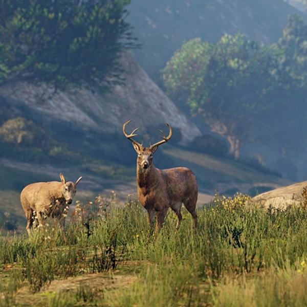  GTA V Game for PlayStation 5 photo 9