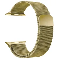 Curelușă Apple Watch WA03 Simple beauty series Metal/
42 / 44 / 45 / 49 mm / Gold Vintage photo 3