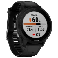 Умные часы Garmin Forerunner 955 1.3"/ 010-02638-30/ Черный photo 7