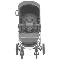 Детская коляска Carrello Vista 607-003/ Тёмно-серый photo 2