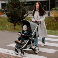 Детская коляска Carrello Vista 607-003/ Тёмно-серый photo 8