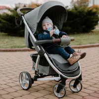 Cărucior pentru copil Carrello Vista 607-004/ Light Gray photo 7