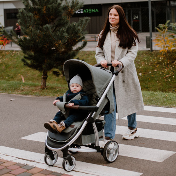 Детская коляска Carrello Vista 607-004/ Светло-серый photo 8