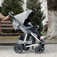 Детская коляска Carrello Vista Air 2 in 1 611-003/ Бежевый photo 9