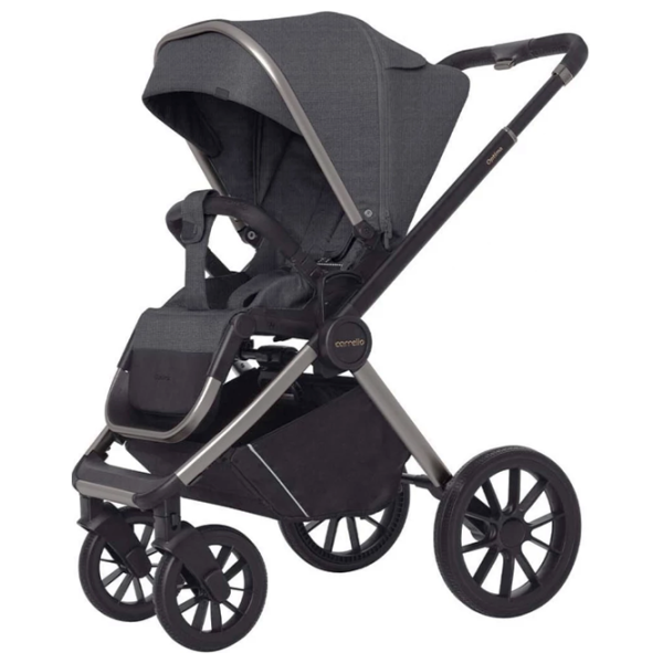 Детская коляска Carrello Optima 2 in 1 (E90) 470-001/ Тёмно-серый photo 2