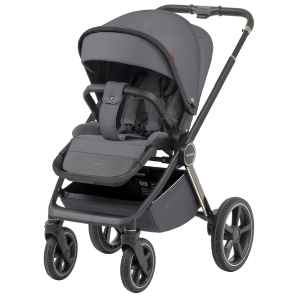 Cărucior pentru copil Carrello Ultimo 2 in 1 Chrome 599-002/ Gray photo 2