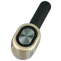 Microfon Helmet BT L998 Gold photo 3