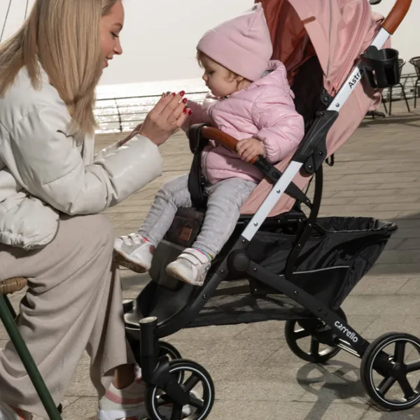 Cărucior pentru copil Carrello Astra 467-003/ Blue photo 7