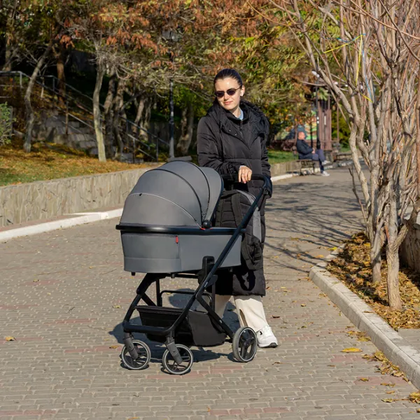 Детская коляска Carrello Alfa 2 in 1 (E88) 465-001/ Зелёный photo 7