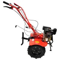 Motocultor Technoworker 100 D 4 timpi/ Motorină photo 2