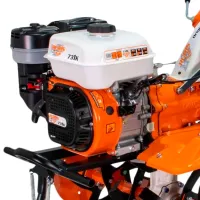 Motocultor Ruris 731K 4 timpi/ Benzină photo 2