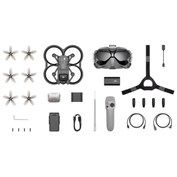 Dronă DJI Avata Fly Smart Combo+FPV Goggles V2 Profesional / Gray photo 9