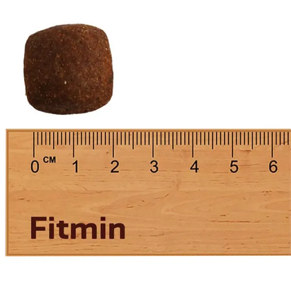 Hrană pentru câini uscată Fitmin For Life Adult Rasă mare  15 kg / Porc photo 3