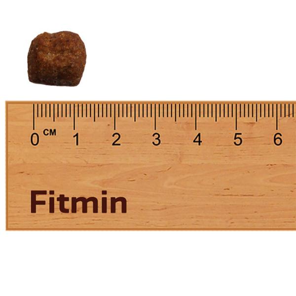 Корм для собак сухой Fitmin For Life Adult  3 кг / Свинина photo 3