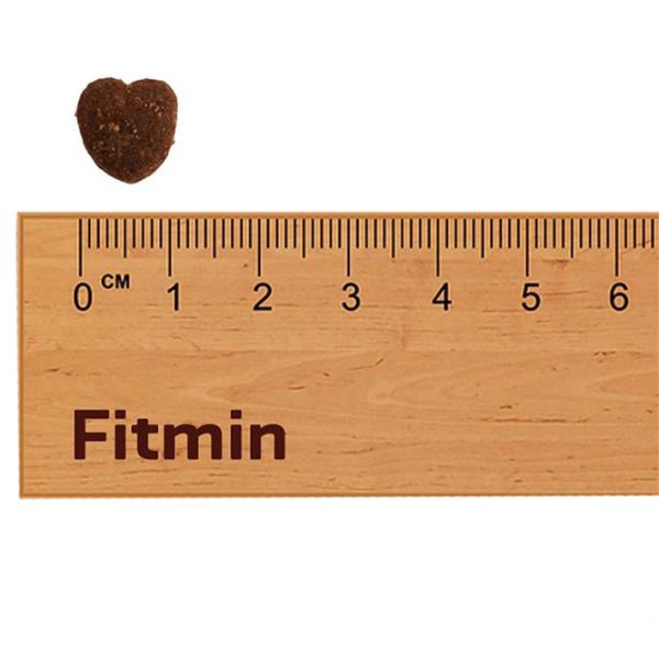 Hrană pentru câini uscată Fitmin For Life Adult Mini 3 kg/ Găină, porc, vită photo 3 Hrană pentru câini uscată Fitmin For Life Adult Mini 3 kg/ Găină, porc, vită photo 3