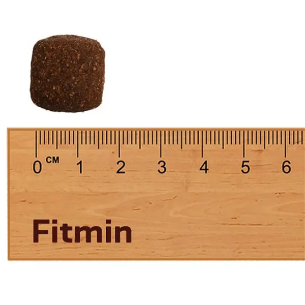 Hrană pentru câini uscată Fitmin For Life Cățel rasă mare  3 kg / Porc photo 3 Hrană pentru câini uscată Fitmin For Life Cățel rasă mare  3 kg / Porc photo 3