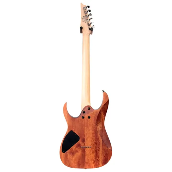 Chitară electrică Ibanez RG421 4/ 4, Superstrat photo 2