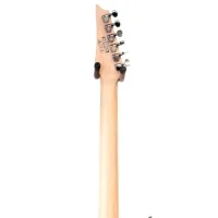 Электрогитара Ibanez RG421 4/ 4, Superstrat photo 6