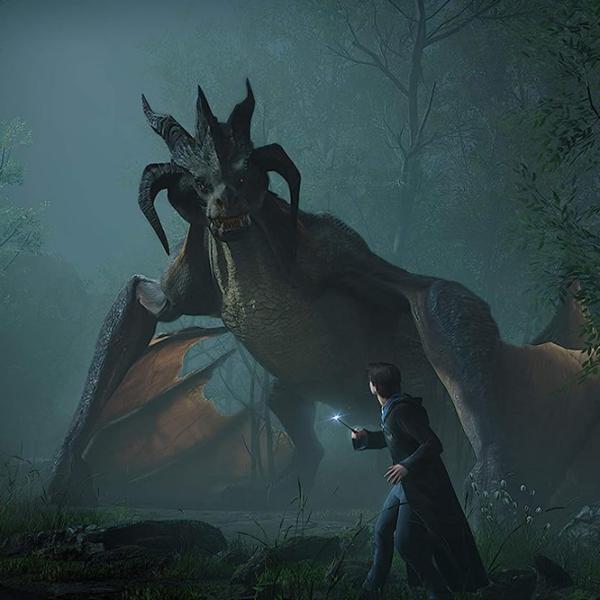 Hogwarts Legacy Game for PlayStation 5 photo 7