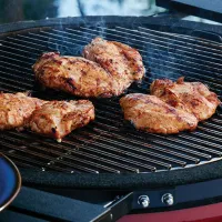 Мангал Kamado Joe Big II Stand Alone BJ24NRHC Брикеты, уголь/ Мобильный photo 13