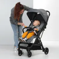 Детская коляска FoppaPedretti Jumbo 2988-003/ Серебристый photo 5