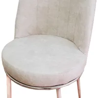 Scaun de bucătărie Magnus Gold 101 Stofă/ White Vanilla photo 3