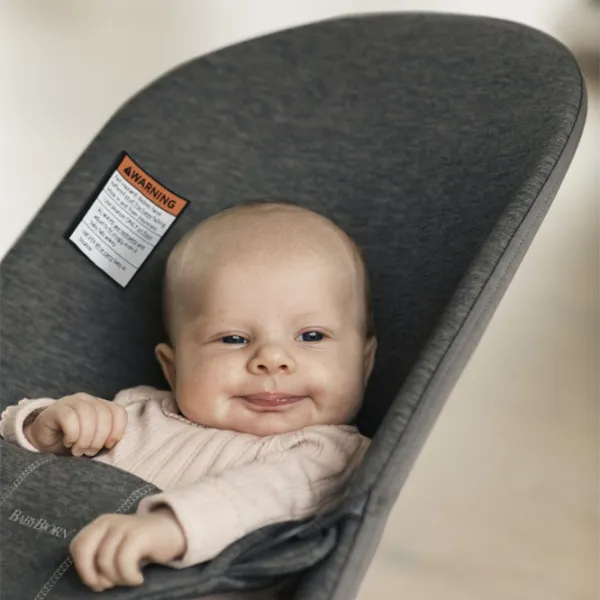 Leagăn pentru bebeluși BabyBjorn Bliss (482-008) 13 kg/ Dark Gray photo 3
