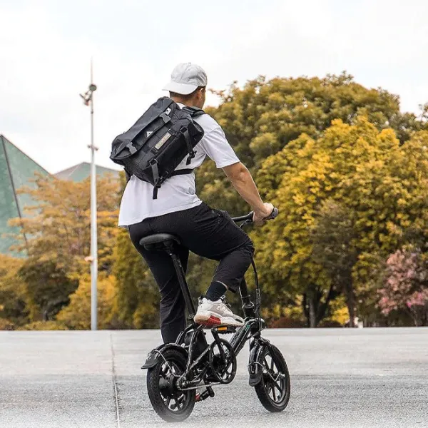 Bicicletă electrică FIIDO D3 Pro 14" Urban / Black photo 5