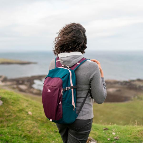 Рюкзак Quechua NH100 20L Синий Пурпурный/ 20 л photo 9