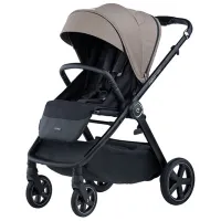 Детская коляска Espiro Only 2 in 1 109/ Бежевый photo 2