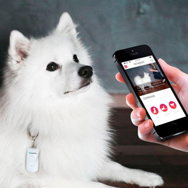 Смарт трекер Tractive Pet-Remote Белый photo 3 Смарт трекер Tractive Pet-Remote Белый photo 3