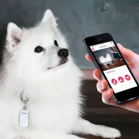 Smart Tracker Tractive Pet-Remote White photo 3