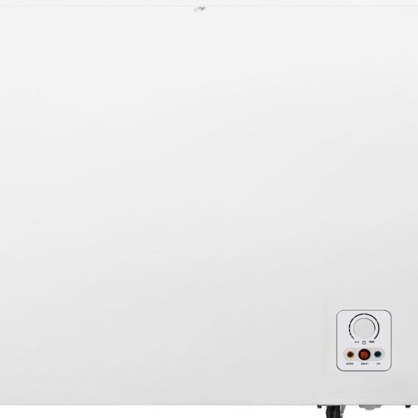 Ladă frigorifică Gorenje FH25FPW 248l / White photo 4