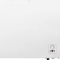 Ladă frigorifică Gorenje FH25FPW 248l / White photo 4