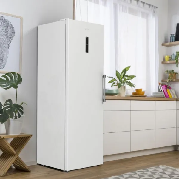 Морозильник Gorenje FNP 619 EAW6L Белый photo 8