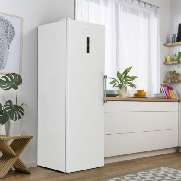 Морозильник Gorenje FNP 619 EAW6L Белый photo 8