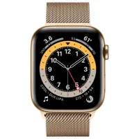 Умные часы Apple Watch Series 6 1.78"/ M09G3/ Стальной Золотой photo 2