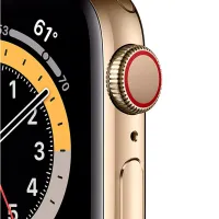 Умные часы Apple Watch Series 6 1.78"/ M09G3/ Стальной Золотой photo 3
