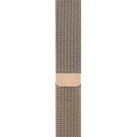 Умные часы Apple Watch Series 6 1.78"/ M09G3/ Стальной Золотой photo 4