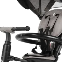 Triciclu Qplay Rito Star 20 kg/ Gray photo 6