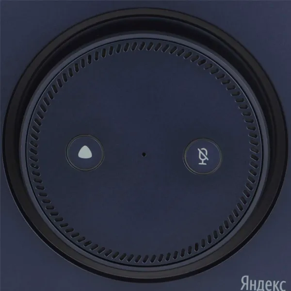 Умная колонка Yandex MAX with Zigbee YNDX-0052 Синий photo 4