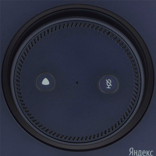Умная колонка Yandex MAX with Zigbee YNDX-0052 Синий photo 4