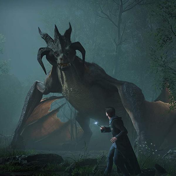 Hogwarts Legacy Game for PlayStation 4 photo 10