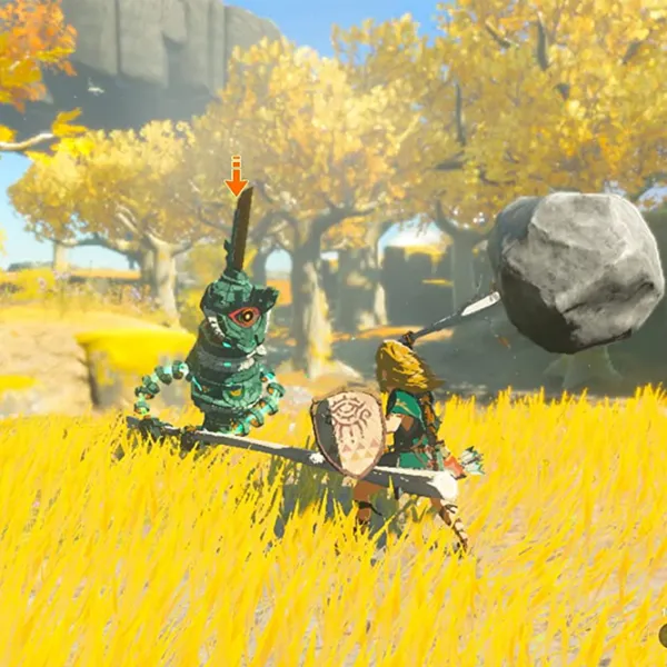 The Legend of Zelda Tears of the Kingdom Game for Nintendo Switch photo 2 The Legend of Zelda Tears of the Kingdom Game for Nintendo Switch photo 2