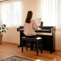 Цифровой пиан Kawai KDP120 Акустический/ 88 клавиш/ Dual/ Палисандр photo 5