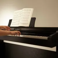 Цифровой пиан Kawai KDP120 Акустический/ 88 клавиш/ Dual/ Черный photo 5