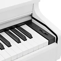 Цифровой пиан Kawai CN29 Акустический/ 88 клавиш/ Dual/ Белый photo 3