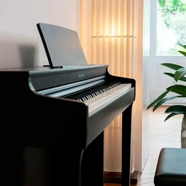 Цифровой пиан Kawai CN29 Акустический/ 88 клавиш/ Dual/ Черный photo 4